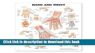 Books Hand and Wrist Anatomical Chart Free Download