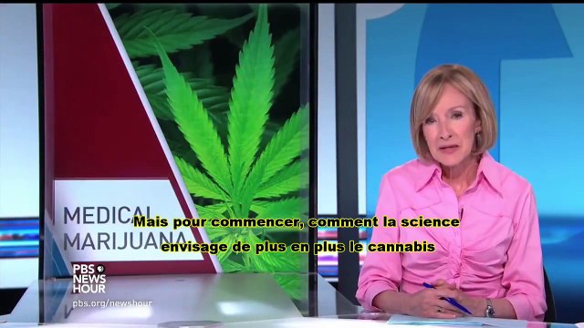 Le cannabis médical sort de l'ombre (PBS) (Juillet 2016) (STFR)