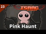 The Binding of Isaac: Afterbirth | #23 Pink Haunt | Daily