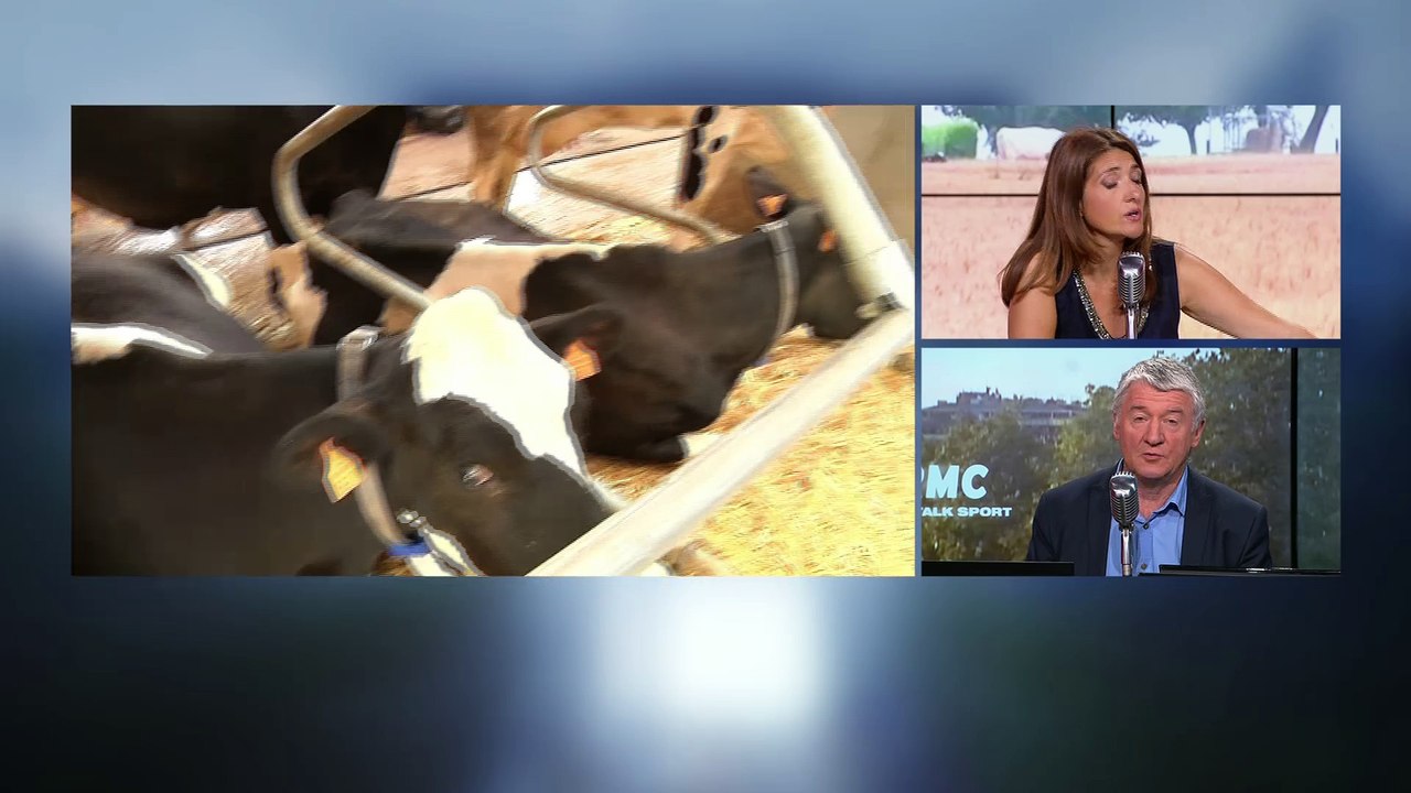 Colère des producteurs de lait: "C'est toujours le plus fort qui gagne, et le plus faible qui disparaît"