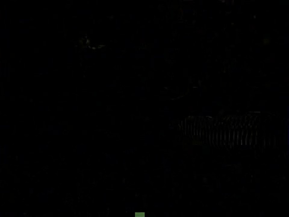 Epaves corsaires : Découverte d'une chaussure sur l'épave de la Dauphine (1704)