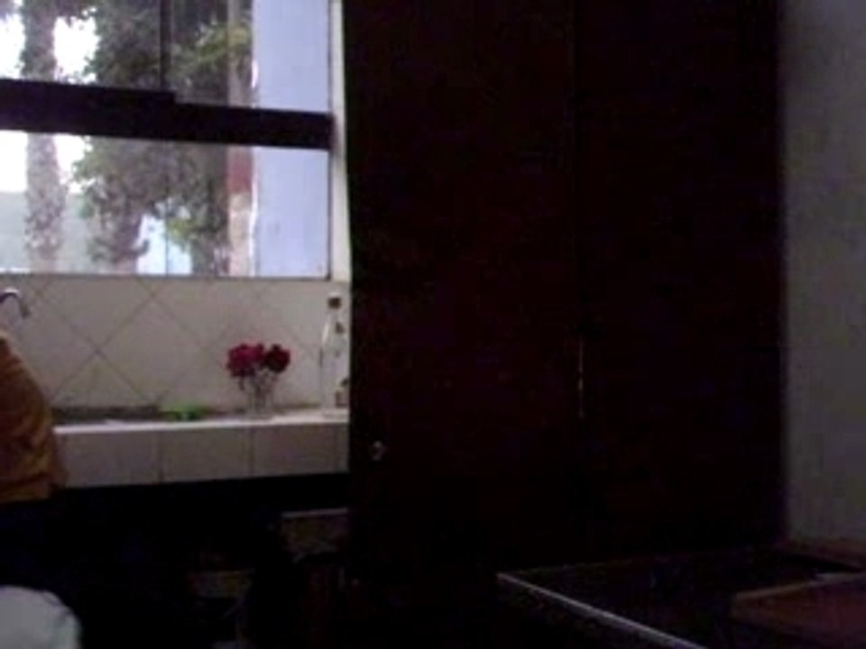 Estupides 2