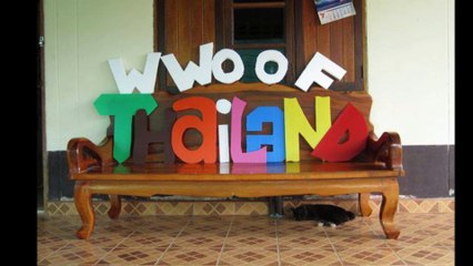 Best Way to Learn Organic Farming from WWOOFThailand.com