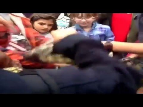 لن تصدق ماتراه عيناك العثور على ديناصور صغير على قيد الحياة