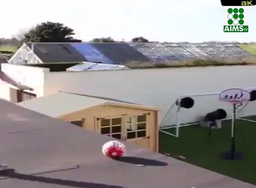 ایسی ویڈیو جسے دیکھنے کے بعد آپ ہنس ہنس کے پاگل ہوجائیں