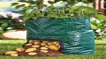 Garden Vegetables Grow Bag Potato Planter Gardeners Grow Bags Potato Plante