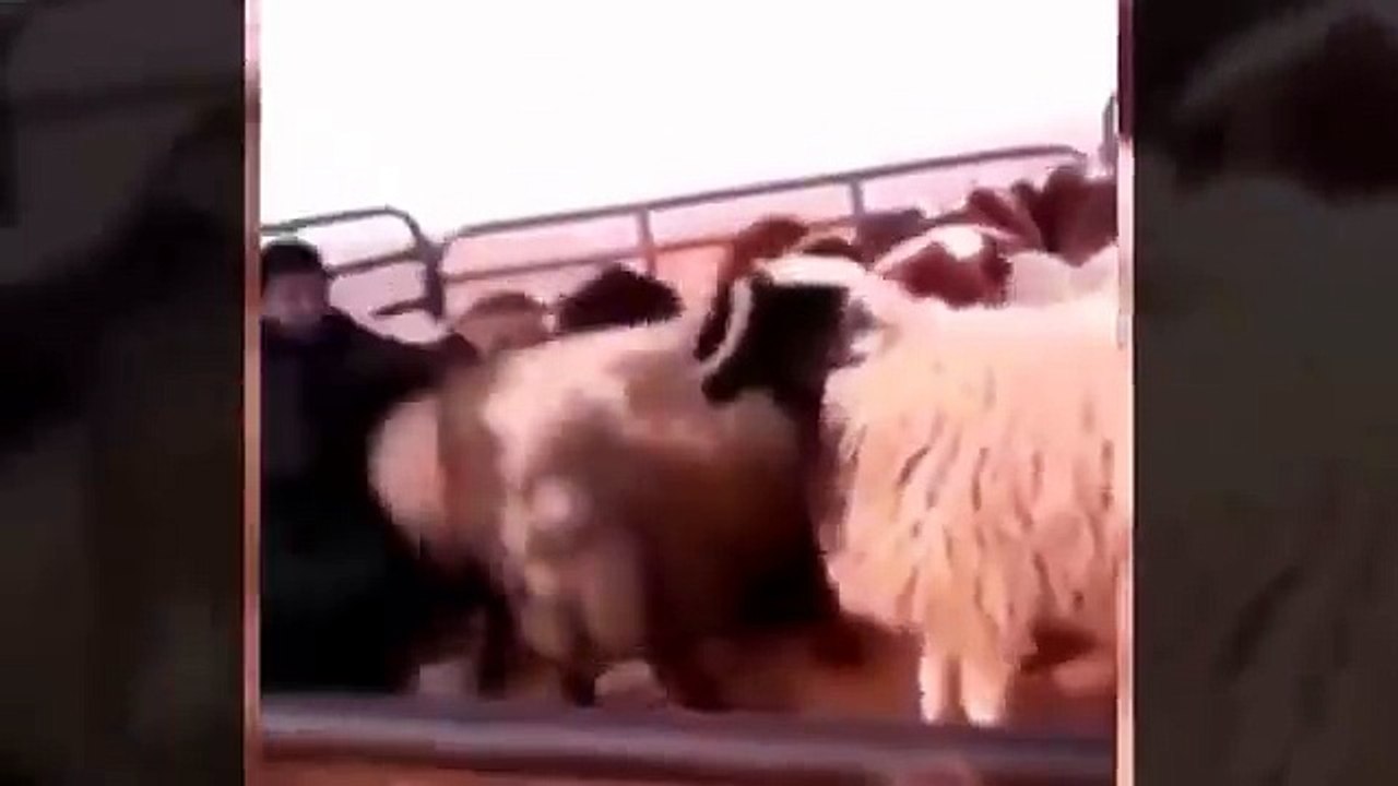 Funny