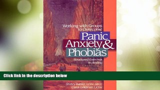 Big Deals  Working with Groups to Overcome Panic, Anxiety   Phobias : Structured Exercises in