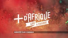 +d'Afrique Live à Yaoundé, bientôt sur CANAL+