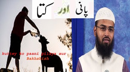 Ek Banda Kuttey Ko Paani Pila ke Bakhsha Gya-Adv.Faiz Syed -IRC TV-dailymotion