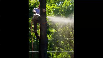 Arbor Works Tree Care - (989) 859-6378