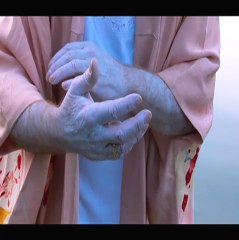 Cherry Blossoms VOST - Ext 5