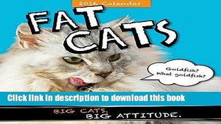 Books 2016 Fat Cats Wall Calendar Full Download