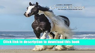 Books Gypsy Vanner Horse 2017 Wall Calendar Free Online