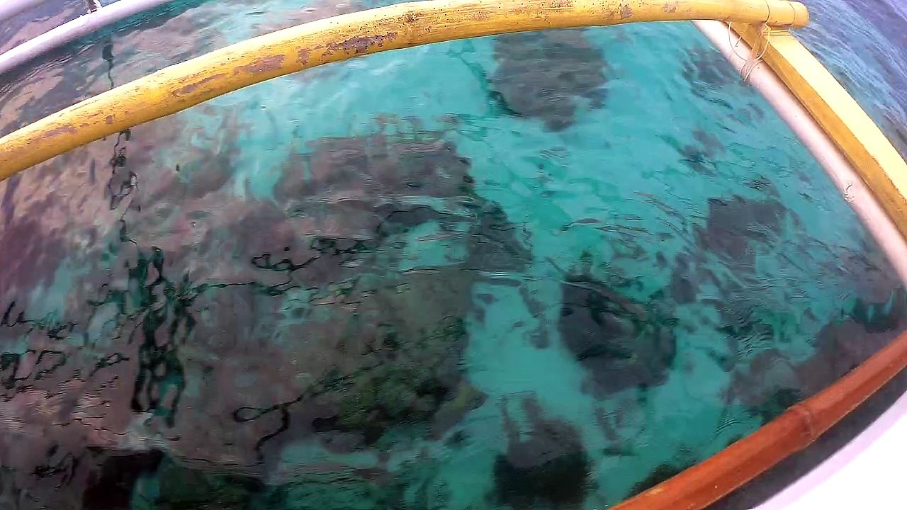 Underwater - Bohol