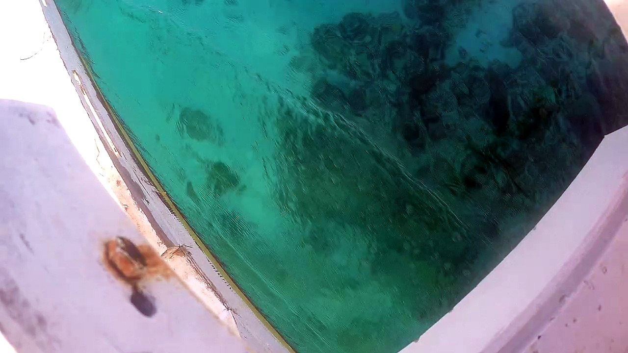 Underwater - Bohol Part 2
