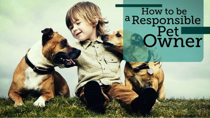 How to be a Responsible Pet Owner