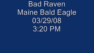 Bad Raven steals from Maine Bald Eagles 03/29/08