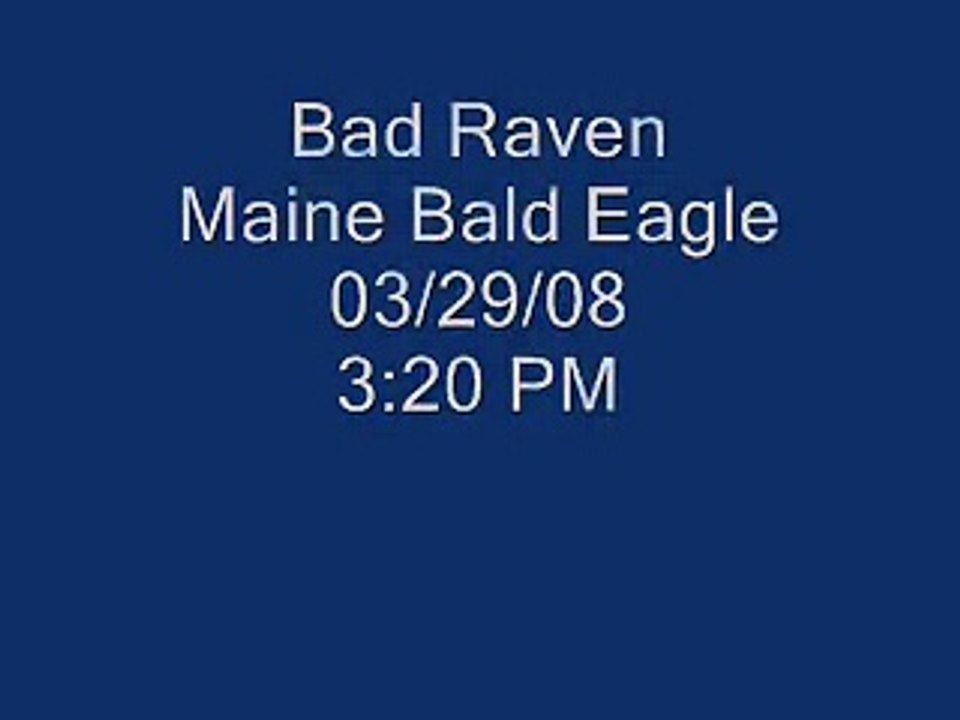 Bad Raven steals from Maine Bald Eagles 03/29/08