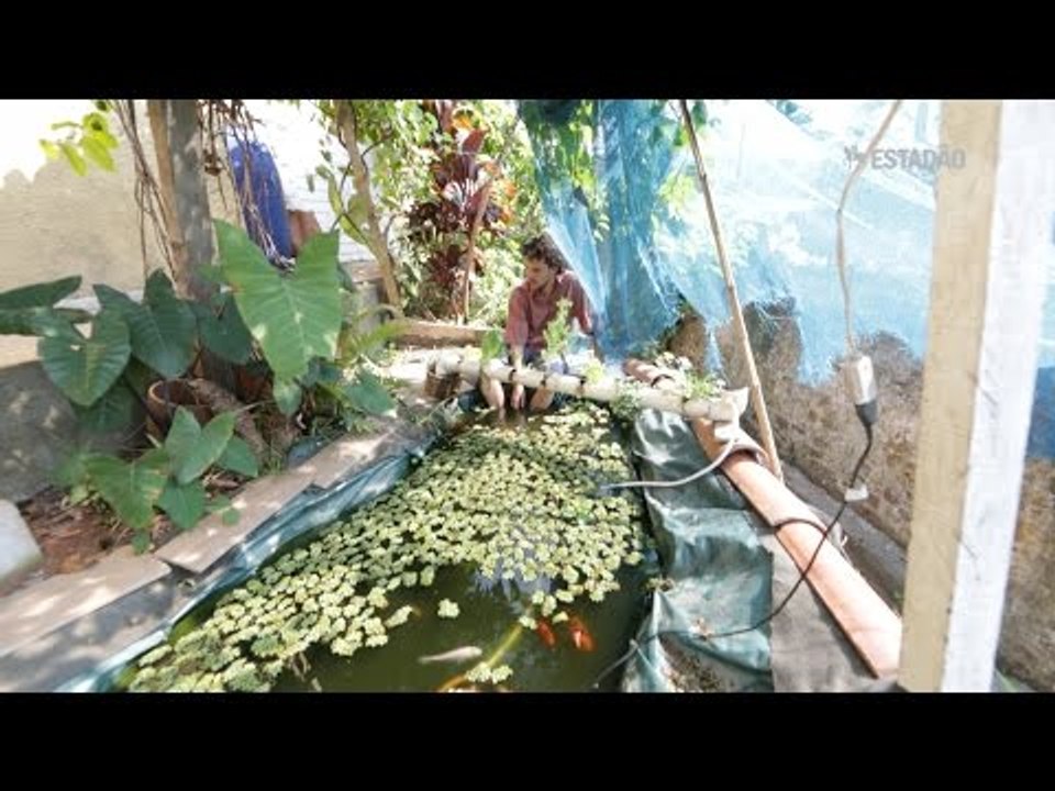 Paulistano transforma água usada na louça em la...
