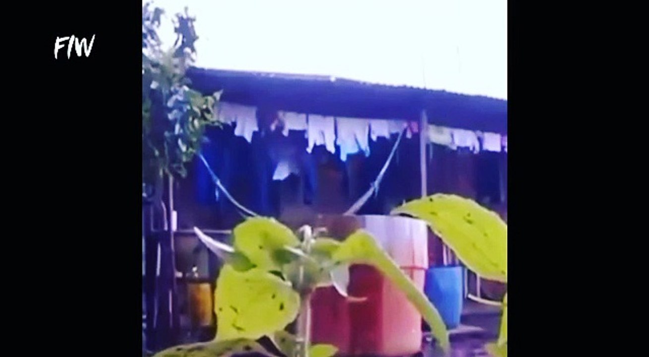 Tanzania comedy