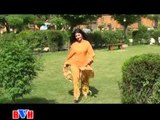 Nazia Iqbal | Zama Sada Janan Zama Ke | Farmaishi Sandare | Pashto Songs