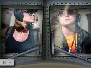 Wallstrip - FLIR Systems Inc. (FLIR)