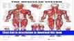 Books The Muscular System 3D Raised Relief Chart Free Online