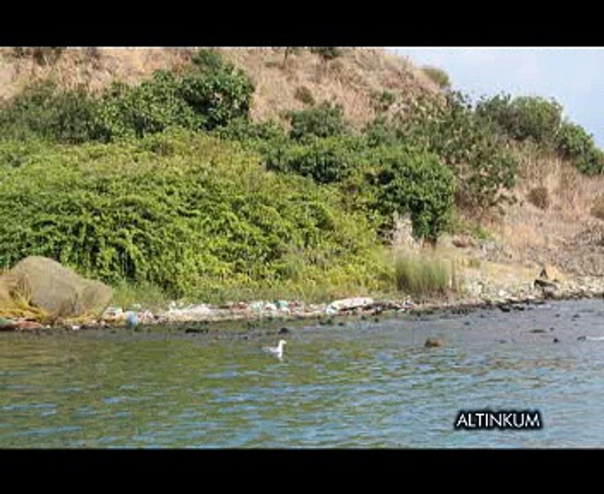 SARIYER SAADET DENİZDE