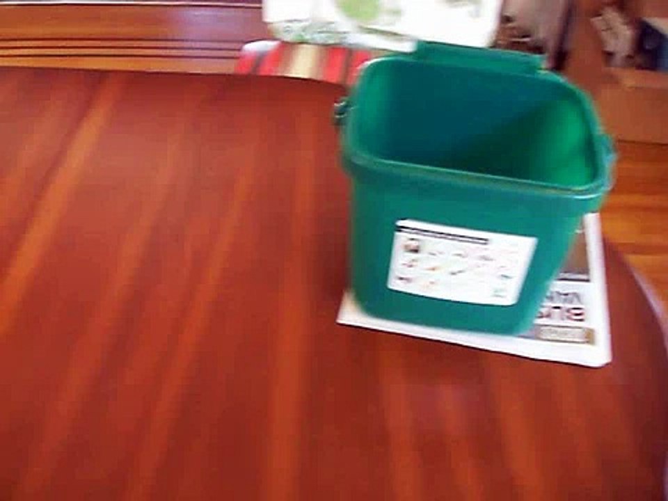 How to make a paper bag for organic waste