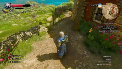 Witcher 3 Blood and Wine Part 11