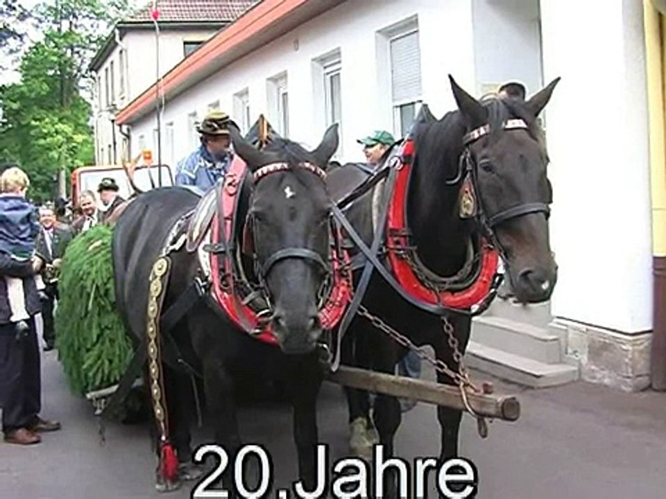 20,Jahre,Stadtfest-Schmalkalden,2010," O"zapf  is ! ""