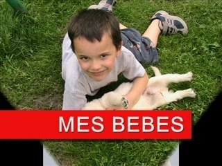 À Toi, Ma Tara 💔