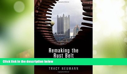 READ FREE FULL  Remaking the Rust Belt: The Postindustrial Transformation of North America