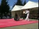 demonstration fauteuil roulant taekwondo hoshinsul et casses