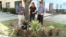 Lush Landscape Design, Parking Lot Construction, Outdoor Lighting Solutions, & Ice Machines