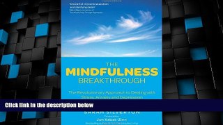 Big Deals  The Mindfulness Breakthrough: The Revolutionary Approach to Dealing with Stress,