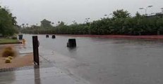 Trash Cans Float Away in Phoenix Flooding