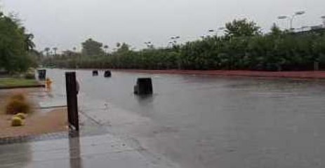 Trash Cans Float Away in Phoenix Flooding