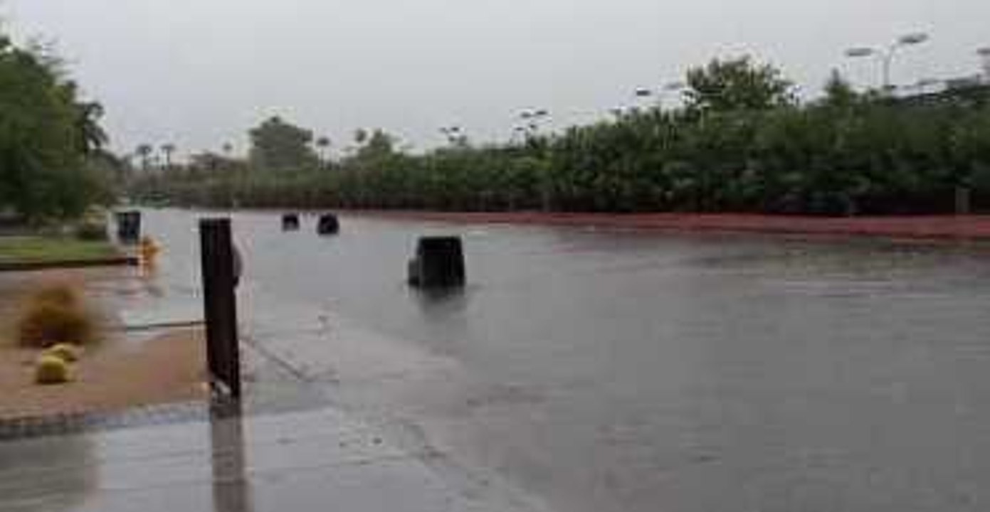 Trash Cans Float Away in Phoenix Flooding