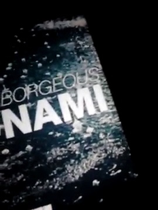S.     DVBB & BORGEUS TSUNAMI