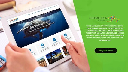 Create Your Business Website - Chameleon Print Group - Australia