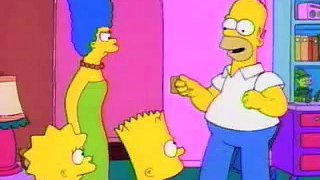 homer simpson - fight fight