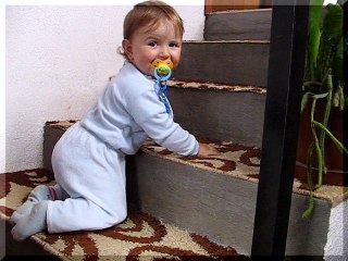 emHOME - hodalica 2006