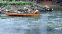 Smart dog rescues dogs in canoe!