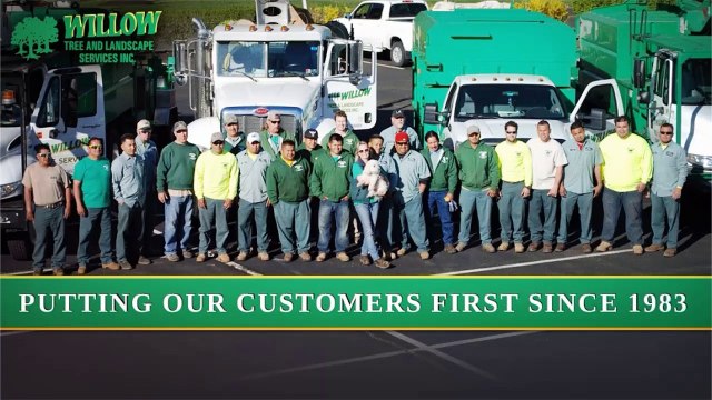 Willow Tree & Landscaping Services In Montgomery County