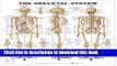 Books The Skeletal System 3D Raised Relief Chart Full Online