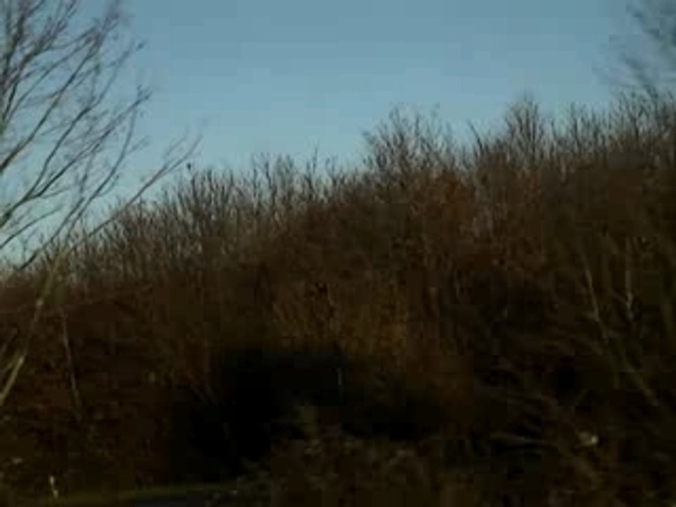 MOV02801