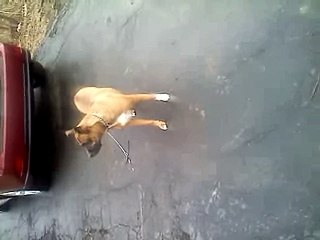 Afeni being a brat lol