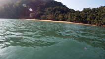 Vamos Mergulhar, navegar, Farol, nas ondas de Ubatuba, Litoral Norte, Brasil, 2016, mares bravos, Marcelo Ambrogi, (32)